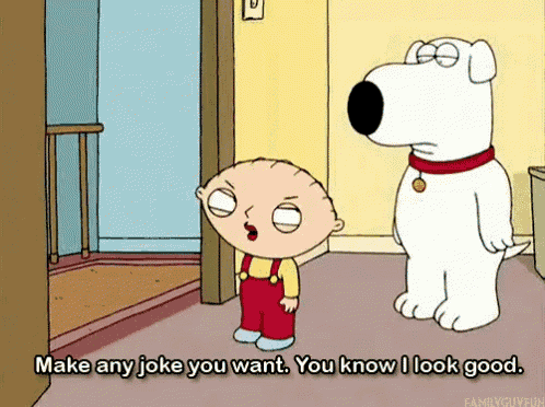 a cartoon of stewie and brian saying make any joke you want
