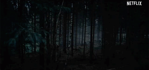 Forest The Rain GIF - Forest The Rain Trees GIFs