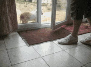 5 GIF - Fuckin Living How Was Your Day Hard Life GIFs