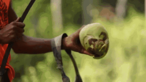 a person is holding a coconut in their hands with a snake on it .