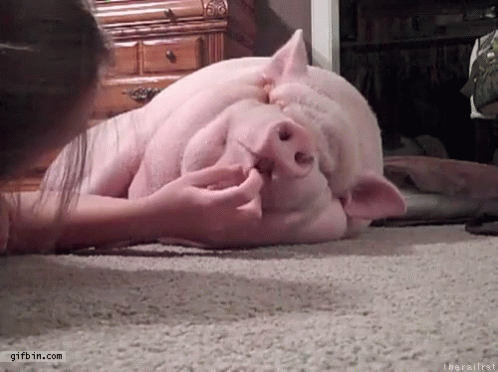 Porky Pig GIF - Porky Pig Lazy GIFs