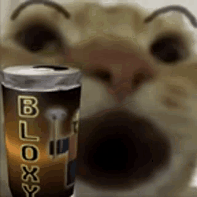Roblox Drink Cat GIF - Roblox Drink Cat Cat Sip GIFs