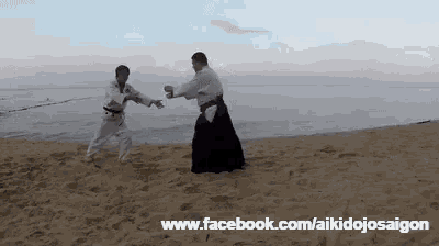 two men are practicing karate on the beach .