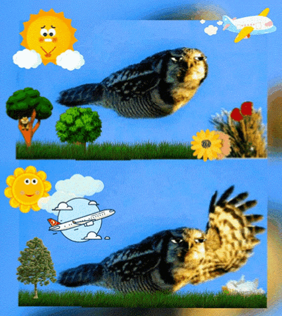 a picture of an owl flying with a plane and a sun behind it