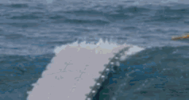 a group of surfers standing on a dock in the ocean