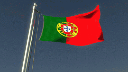 Flag Flag Waver GIF - Flag Flag Waver Portugal GIFs
