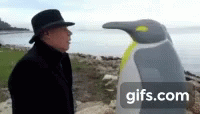 Macete Dipi GIF - Macete Dipi Pinguini GIFs