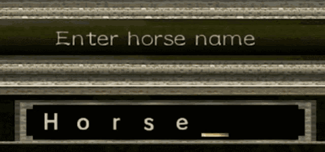 a sign that says " enter horse name " and " horse "