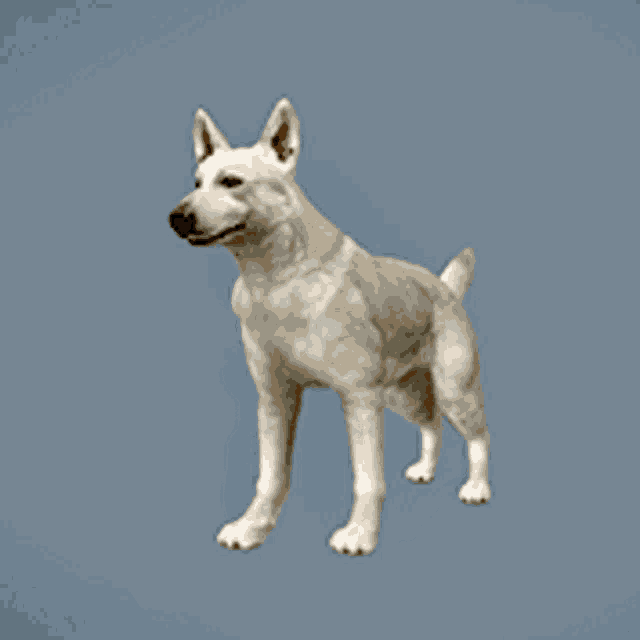 a 3d model of a white dog with a blue background