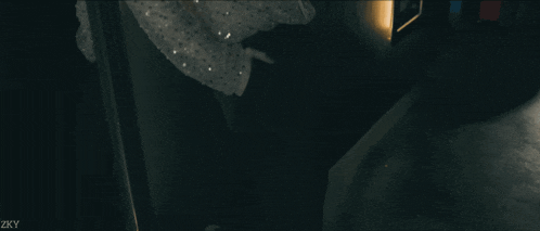 a woman in a sequined dress is standing in a dark room with zky written on the bottom