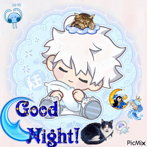 a picture of a boy with a cat on his head and the words good night