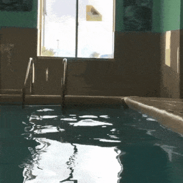 a swimming pool with a window and a sign that says ' no diving '