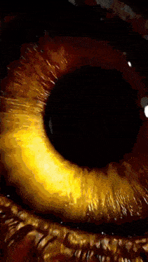 a close up of a person 's eye with a dark background .