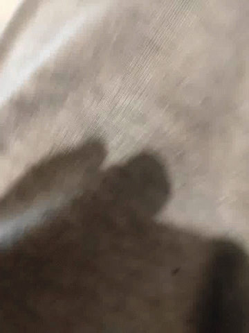 Recording Pant GIF - Recording Pant Shadow GIFs