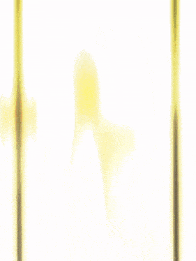 a yellow background with a black border and a blurred image