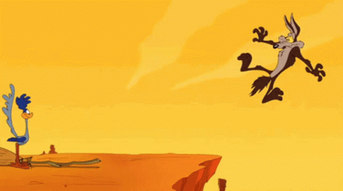 Roadrunner And GIF - Roadrunner And Coyote GIFs