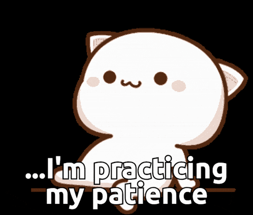 a cartoon cat with the words " i 'm practicing my patience "