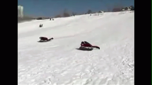 Front Flip! GIF - News Bloopers Fails GIFs