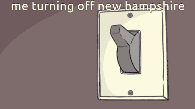 a cartoon of a person turning off a light switch with the caption me turning off new hampshire