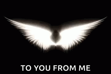 Angels Wings GIF - Angels Wings Halo GIFs