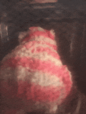 a pink and white stuffed animal is sitting in a clear container