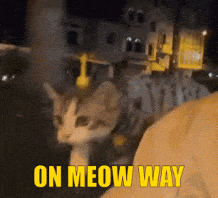 a cat is sitting on a person 's lap with the words " on meow way " below it