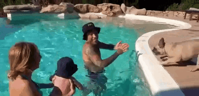 a man is playing with a dog in a swimming pool .