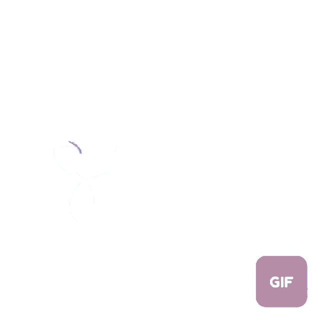a white background with the word star written on it