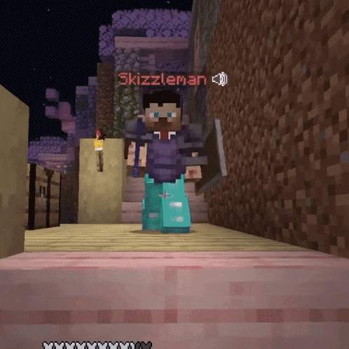 a screenshot of a video game with the name skizzleman written on it