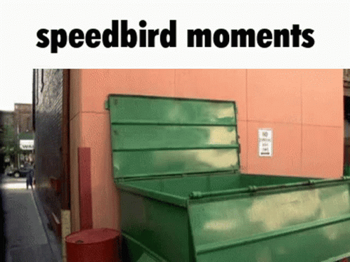 Speedbird Moment Speedbird_moment GIF - Speedbird Moment Speedbird_moment GIFs