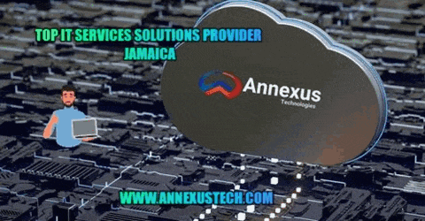 a man holding a laptop in front of a cloud that says annexus