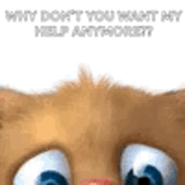 Cats Sneaky GIF