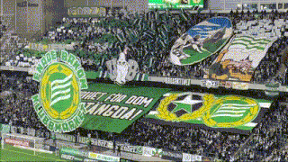 a soccer stadium with a green banner that says " het for dom stanga "