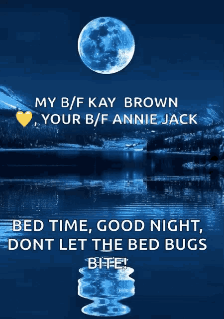 a blue background with a full moon and the words " bed time good night dont let the bed bugs bite " on it