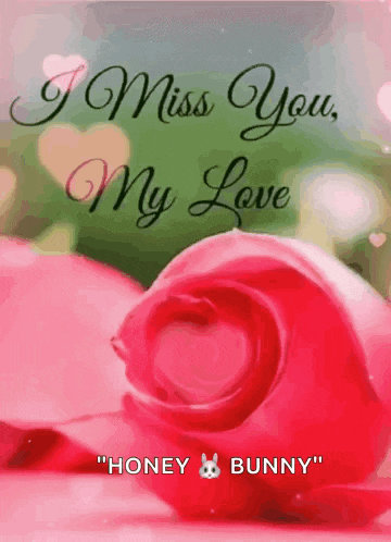 a picture of a rose with the words i miss you my love