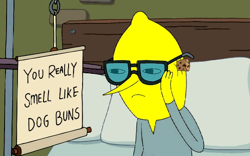 Unacceptable Conditions! Unacceptable!!! Best Episode Of Adventure Time Hands Down GIF - Adventure Time Lemon Grab Dog Buns GIFs
