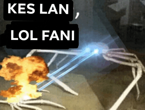 a picture of a skeleton with the words kes lan lol fani on top of it