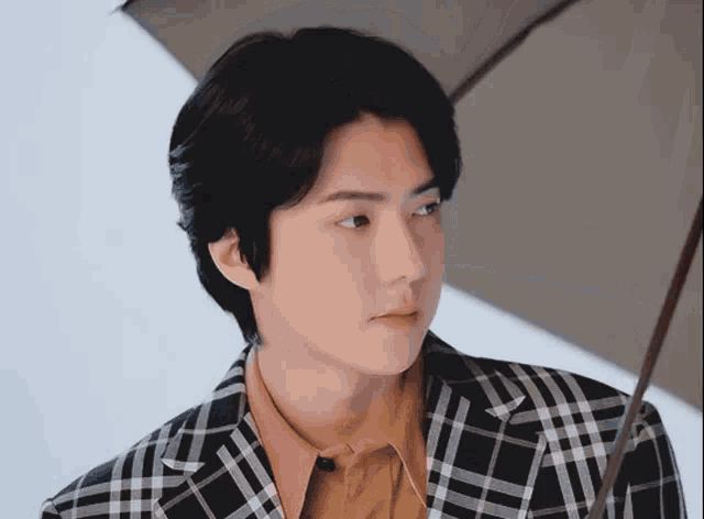 a man in a plaid suit is holding an umbrella .