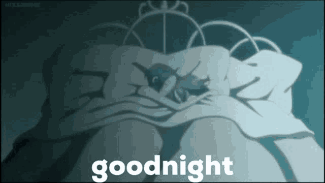 a cartoon of a person sleeping in a bed with the words `` goodnight '' above them .