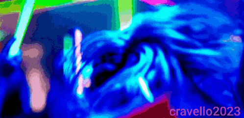 cravello2023 is written on the bottom of a blue background