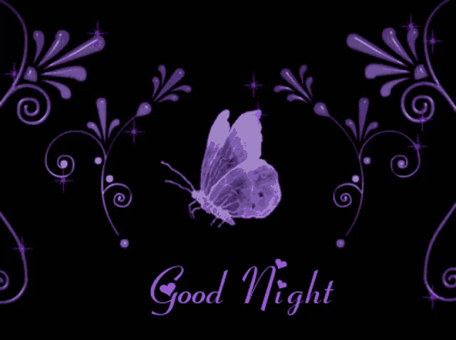 a purple butterfly is surrounded by purple flowers and the words good night