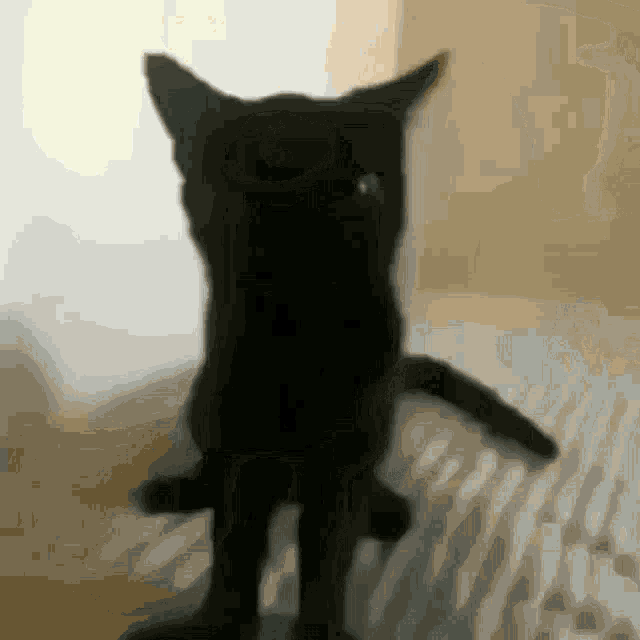 Cat Scary GIF - Cat Scary Jumpscare GIFs