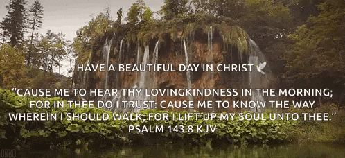 a picture of a waterfall with a quote from psalm 143:8 kjv