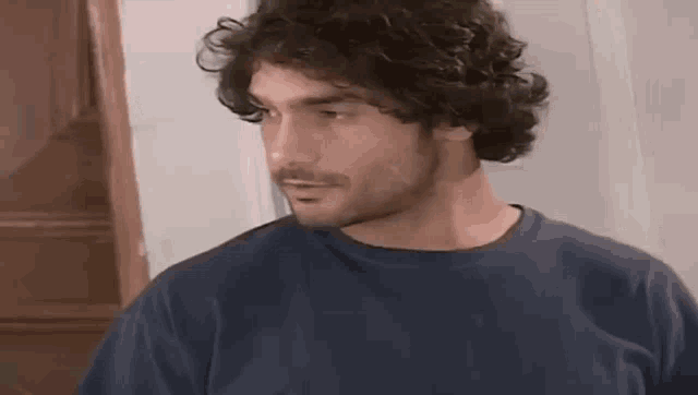a man with curly hair and a beard wearing a blue shirt