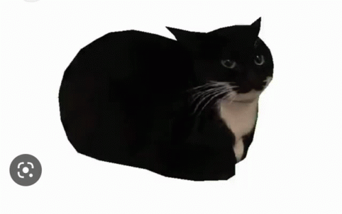 Maxwell Cat GIF - Maxwell Cat GIFs