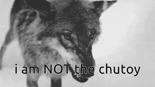 a black and white photo of a wolf with the words " i am not the chutoy " above it