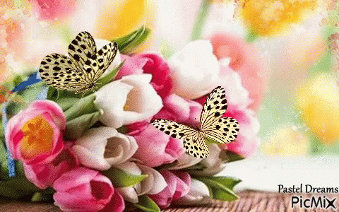 Butterfly Flowers GIF - Butterfly Flowers Tulips GIFs