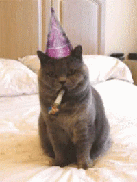 Cheers Kitty GIF - Cheers Kitty Happy Birthday GIFs