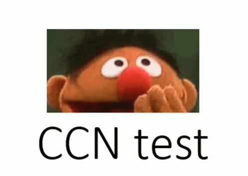 Ccntest123 Testingccn GIF - Ccntest123 Testingccn GIFs