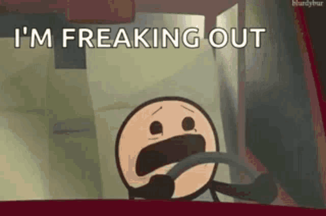 a cartoon character is driving a car with the words `` i 'm freaking out '' written above him .